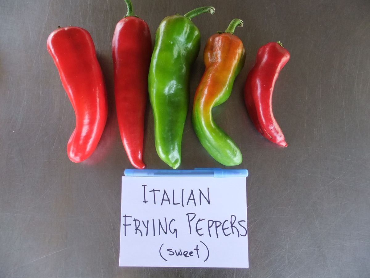 DSCF4129 frying peppers.JPG