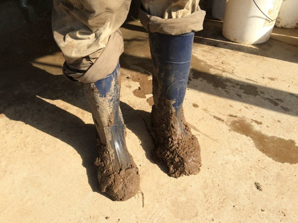 IMG_9551 muddy boots