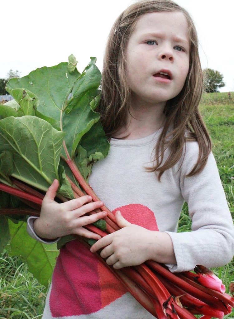 img_6130-rhubarb