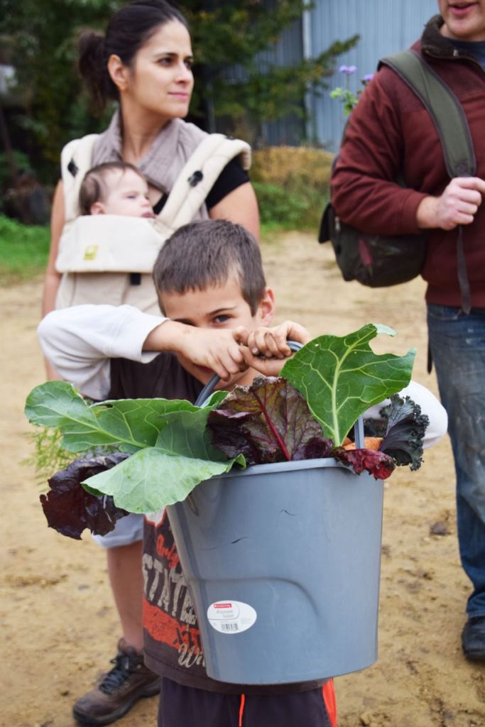 bucket-boy