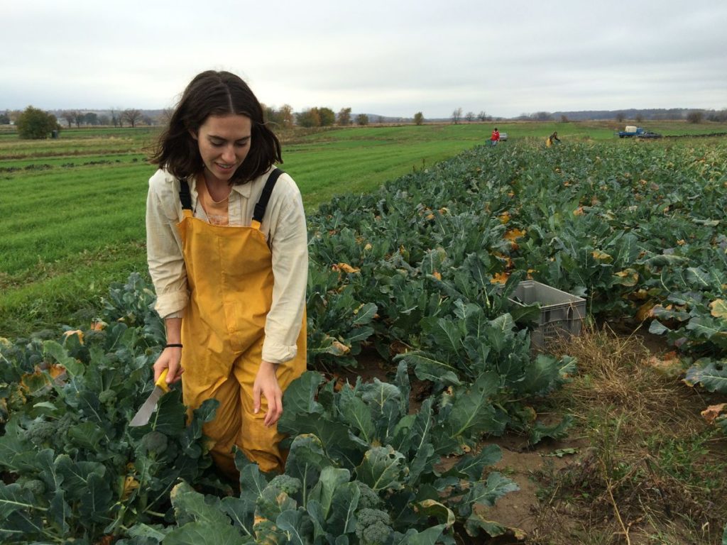 img_1687-lizzy-broccoli