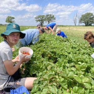 IMG_4841 crew berry picking